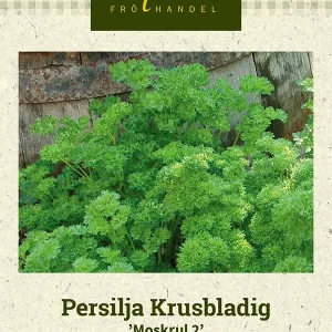 Persilja Krusbladig ’Moskrul 2’