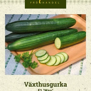 Växthusgurka F1 ’Max’