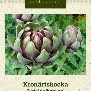 Kronärtskocka ’Violet de Provence’