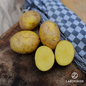 Sättpotatis ’Jule’