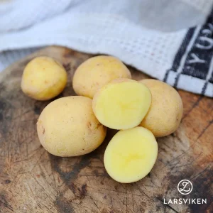 Sättpotatis ’Paris’