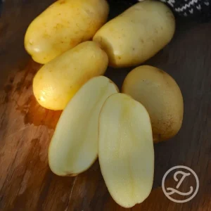 Sättpotatis ’Helmi’
