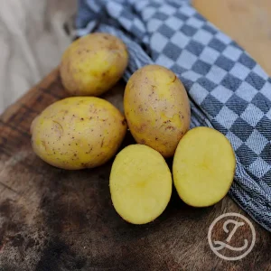 Sättpotatis ’Jule’