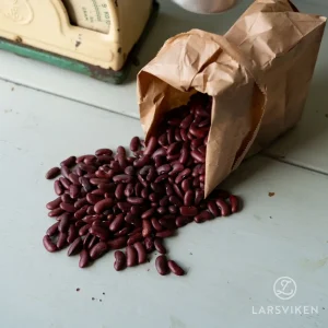 Kidneybönor från Öland