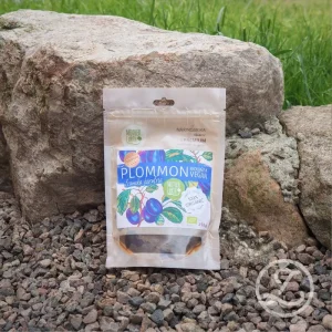 Torkade plommon RAW & EKO 250g