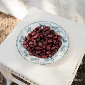 Sättlök ’Red Kamal’