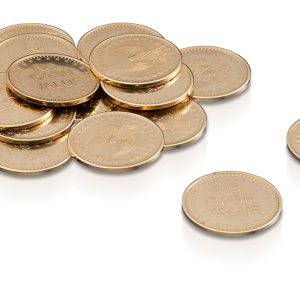 Pollett för Bravilor Bonamat myntmekanism